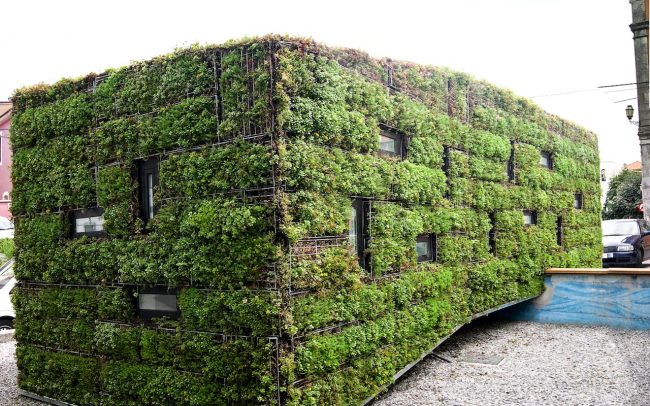Fachada vegetal en oficina de información turística de Colombres Asturias de Dolmen Arquitectos
