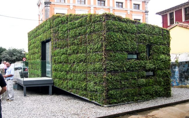 Fachada vegetal en oficina de información turística de Colombres Asturias obra de Dolmen Arquitectos