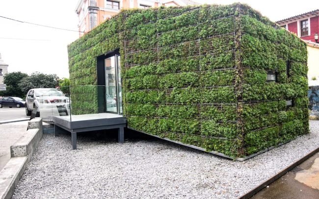 Fachada vegetal en oficina de información turística de Colombres Asturias proyecto de Dolmen Arquitectos