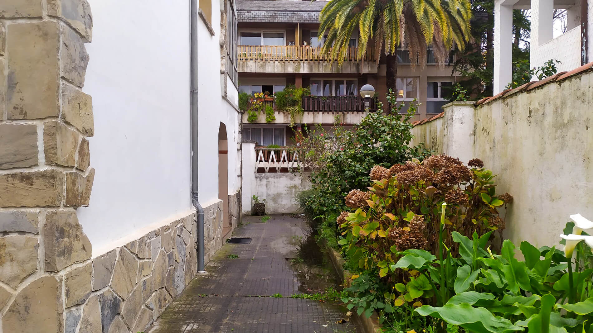 Jardín lateral de vivienda unifamiliar para reformar en Gijón - Dolmen Arquitectos