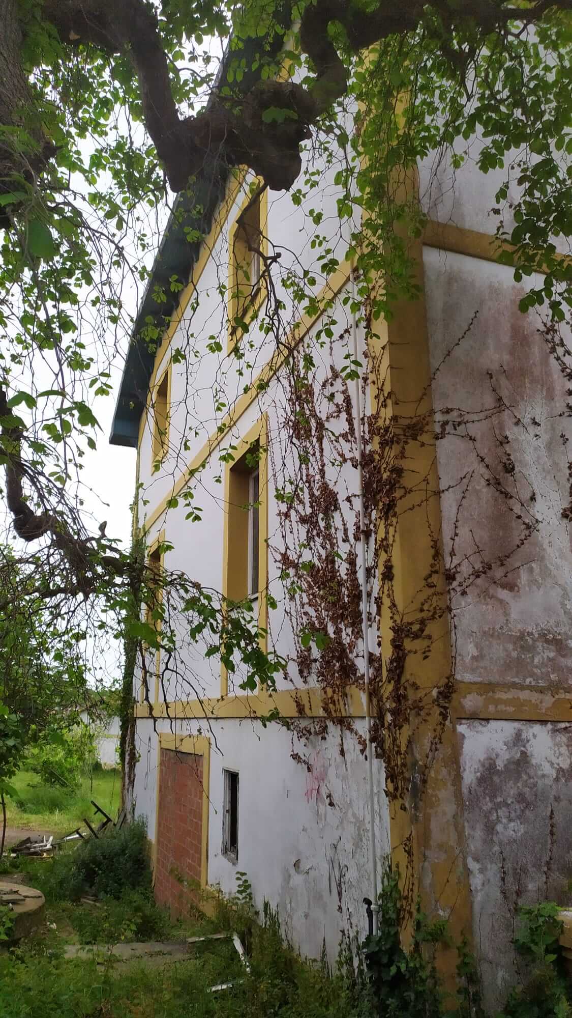 Edificio principal de Villa Delfina antes de rehabilitación hecha por Dolmen