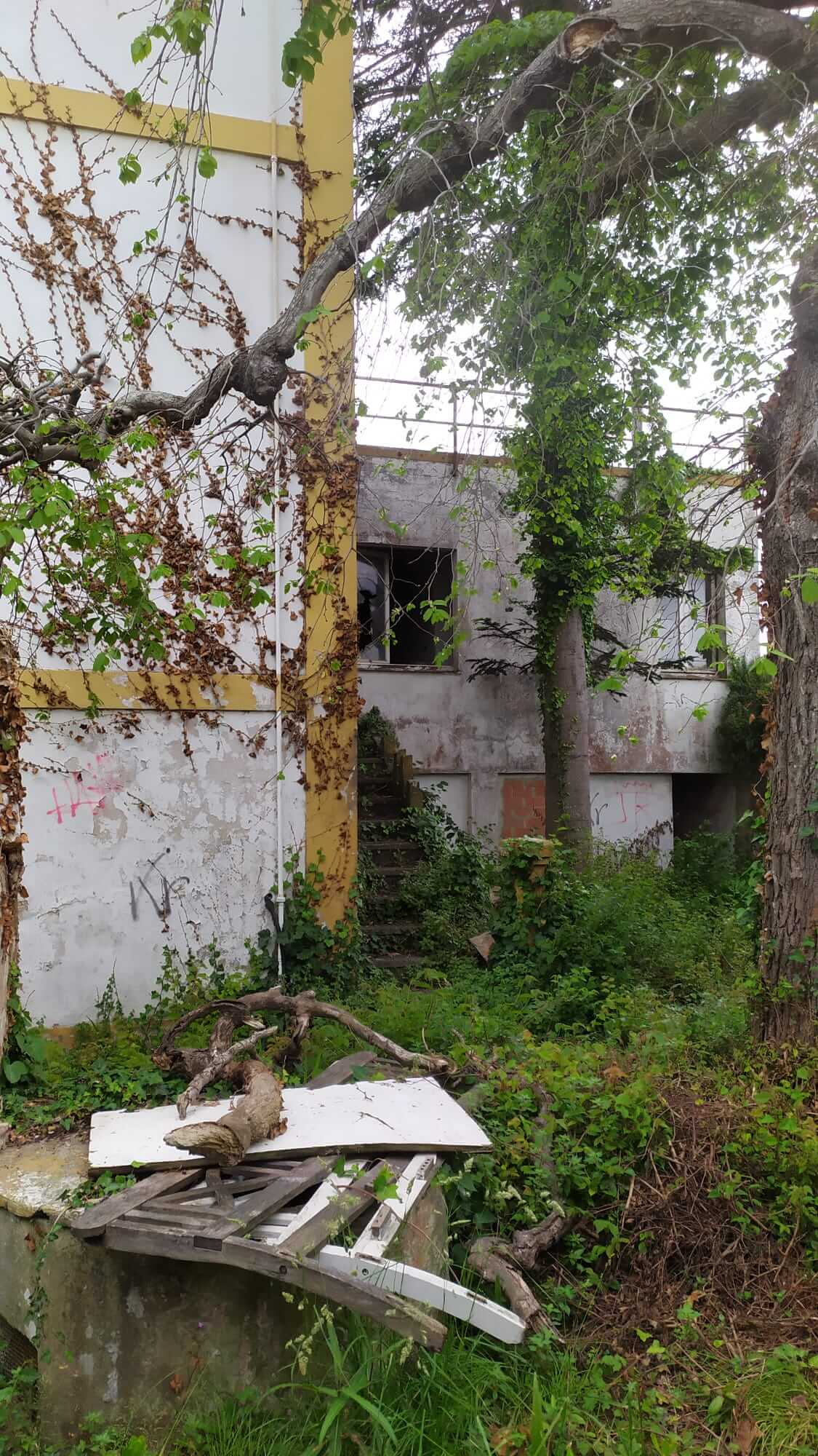 Exterior edificio principal de Villa Delfina antes de rehabilitación hecha por Dolmen