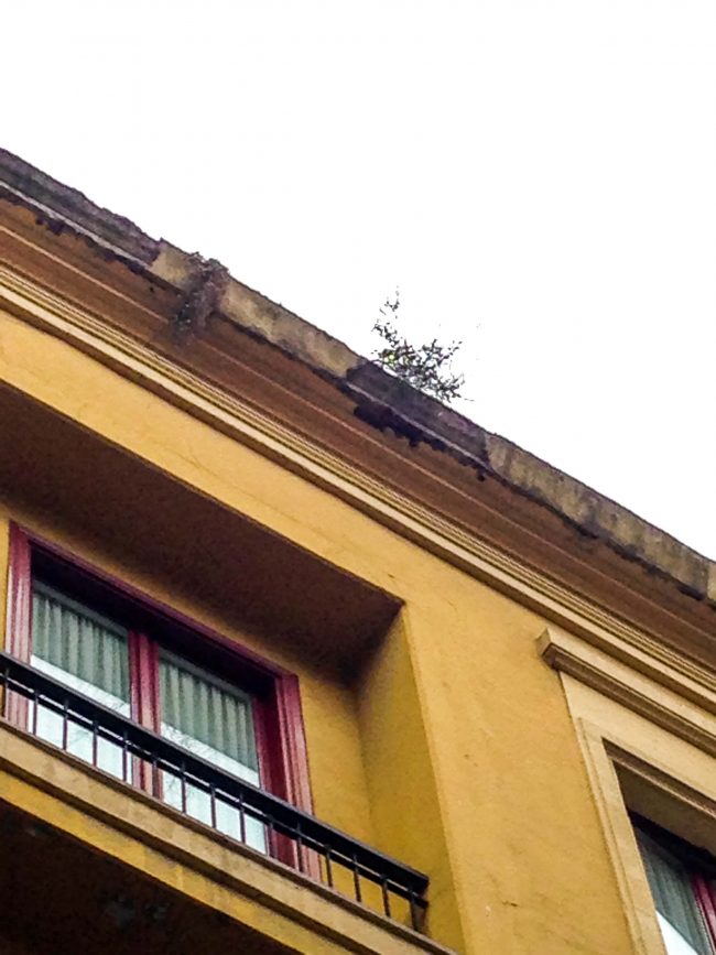 fachada edificio deteriorada_Gijón_Dolmen