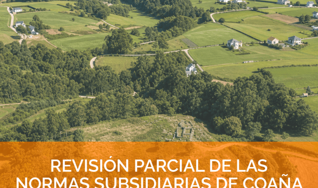 Imagen aérea de prados sobre la revision de las normas subsidiarias de Coaña